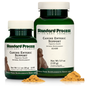 Canine Enteric Support