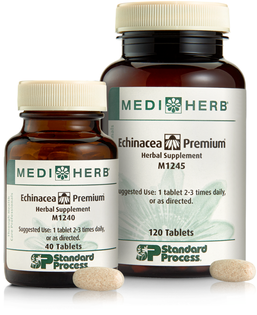 Echinacea Premium