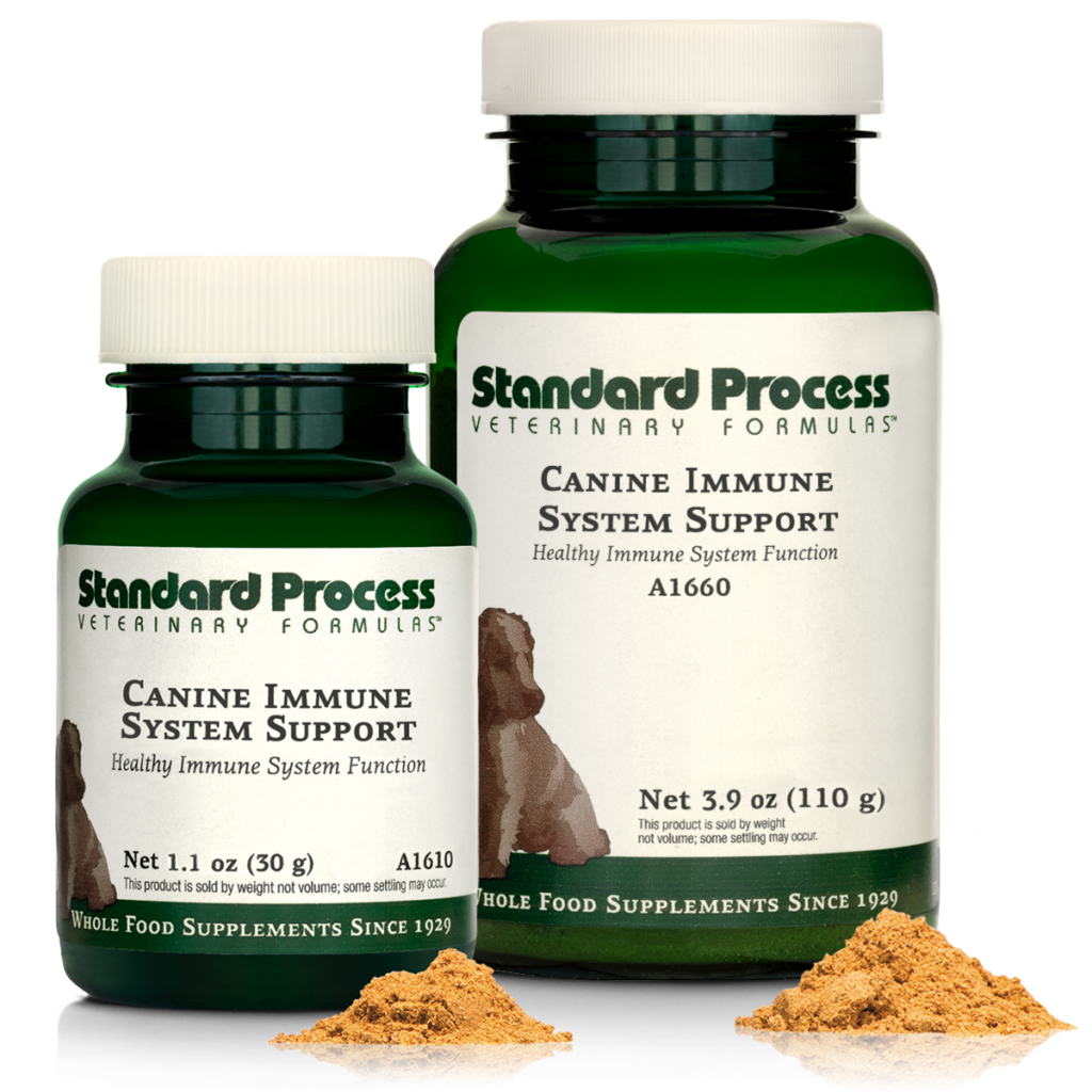 Canine Immune System Support