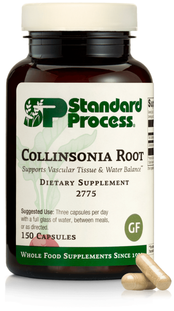 Collinsonia Root