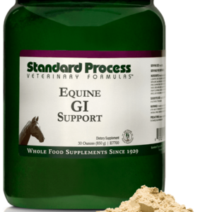 Equine GI Support