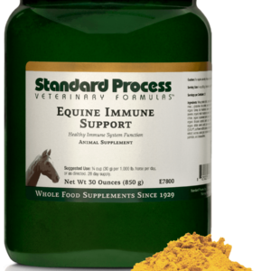 Equine Immune Support