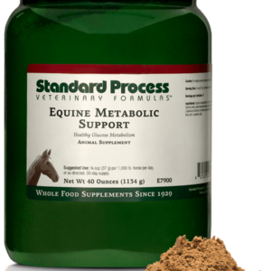 Equine Metabolic Support