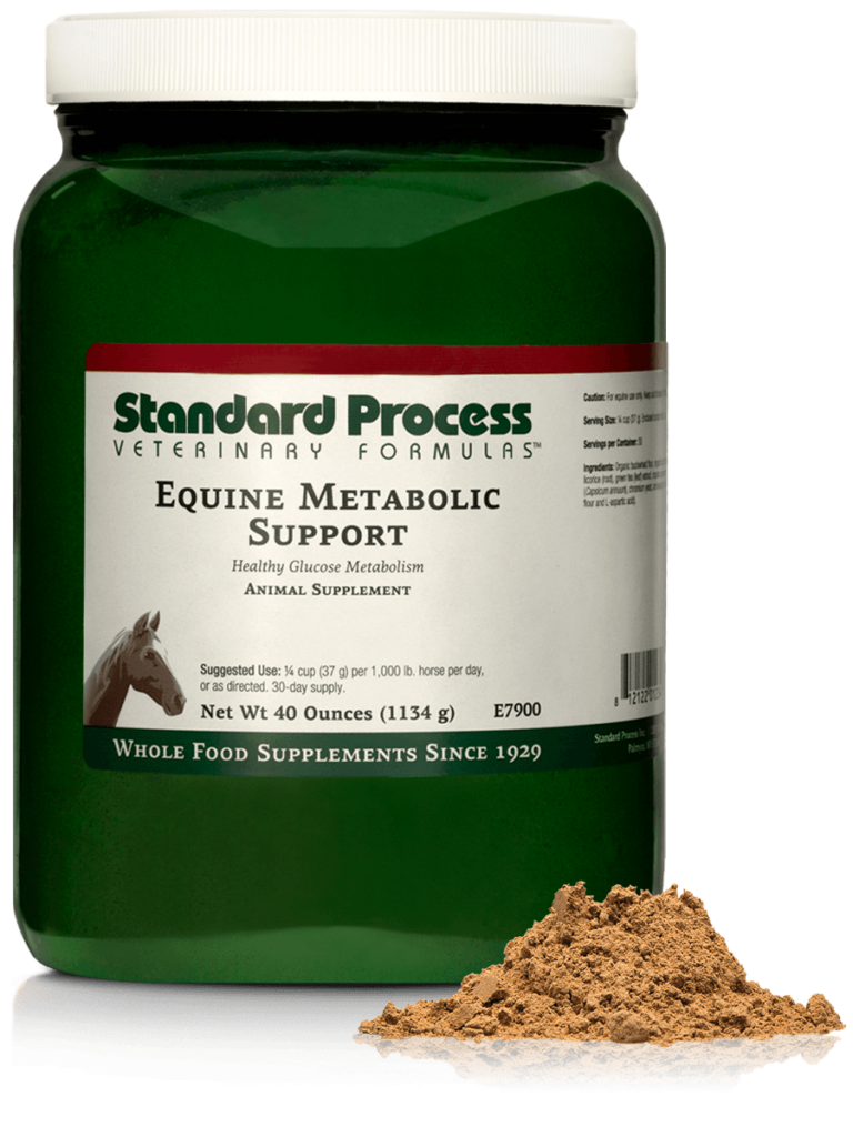 Equine Metabolic Support