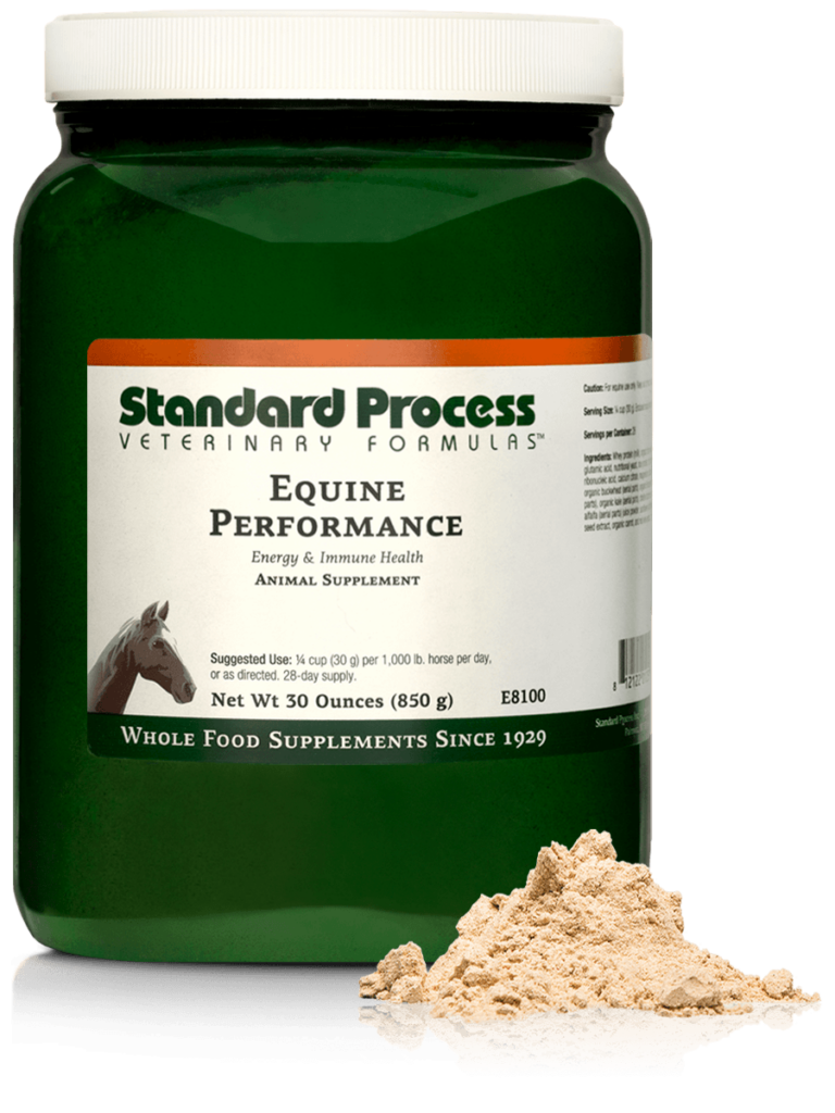 Equine Performance