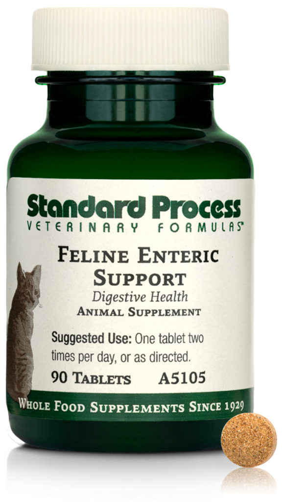 Feline Enteric Support