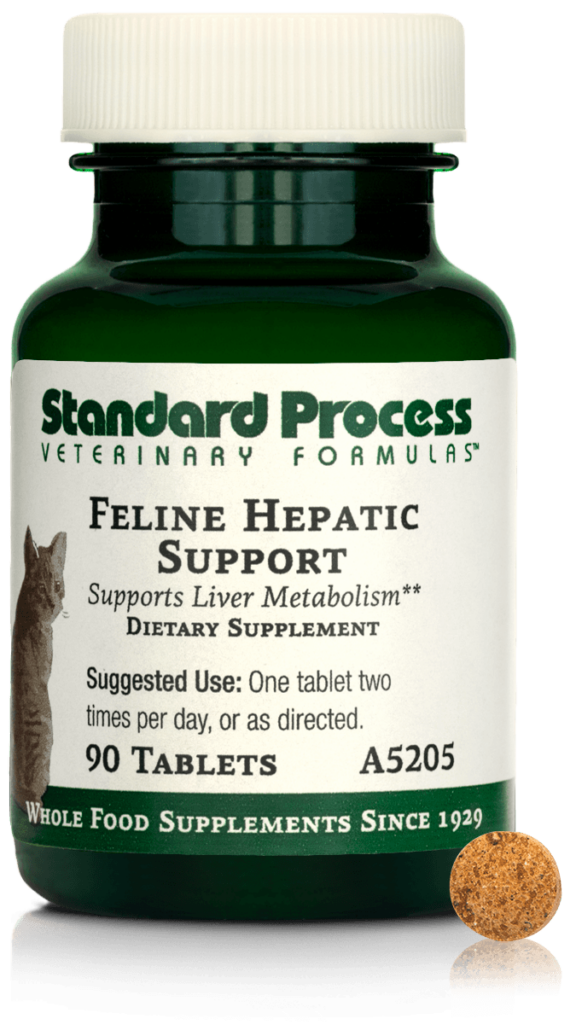 Feline Hepatic Support