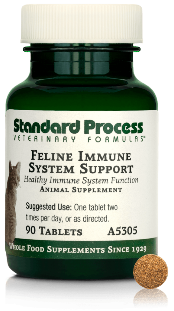 Feline Immune System Support