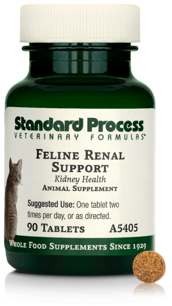 Feline Renal Support