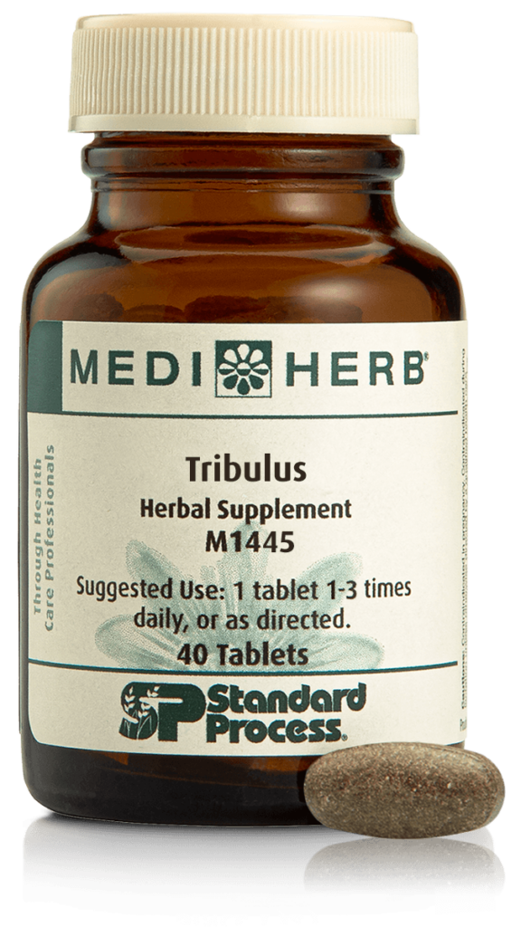 Tribulus