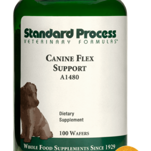 Canine Flex Support