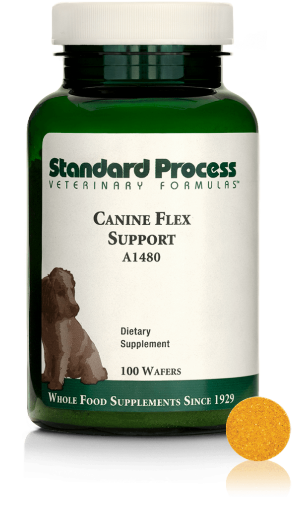 Canine Flex Support