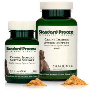 Canine Immune System Support