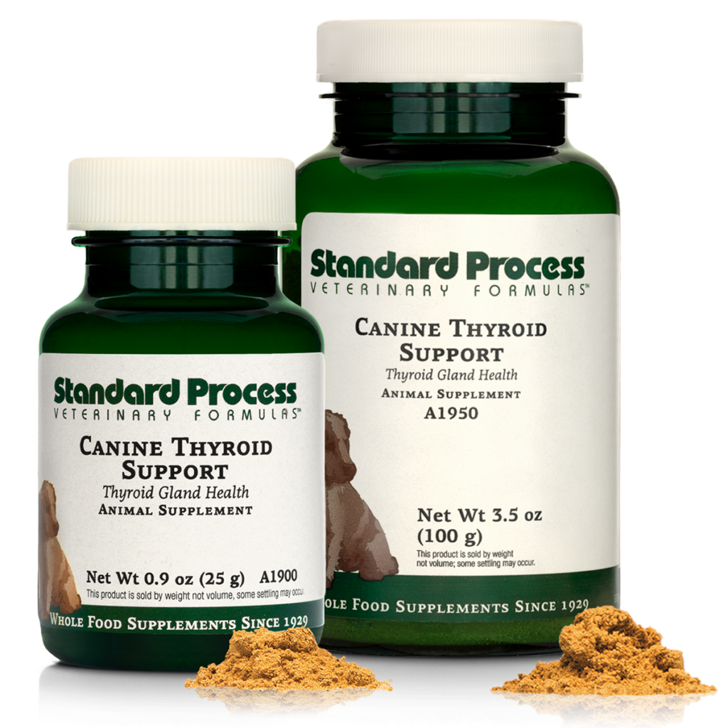 Canine Thyroid Support