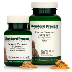 Canine Thyroid Support