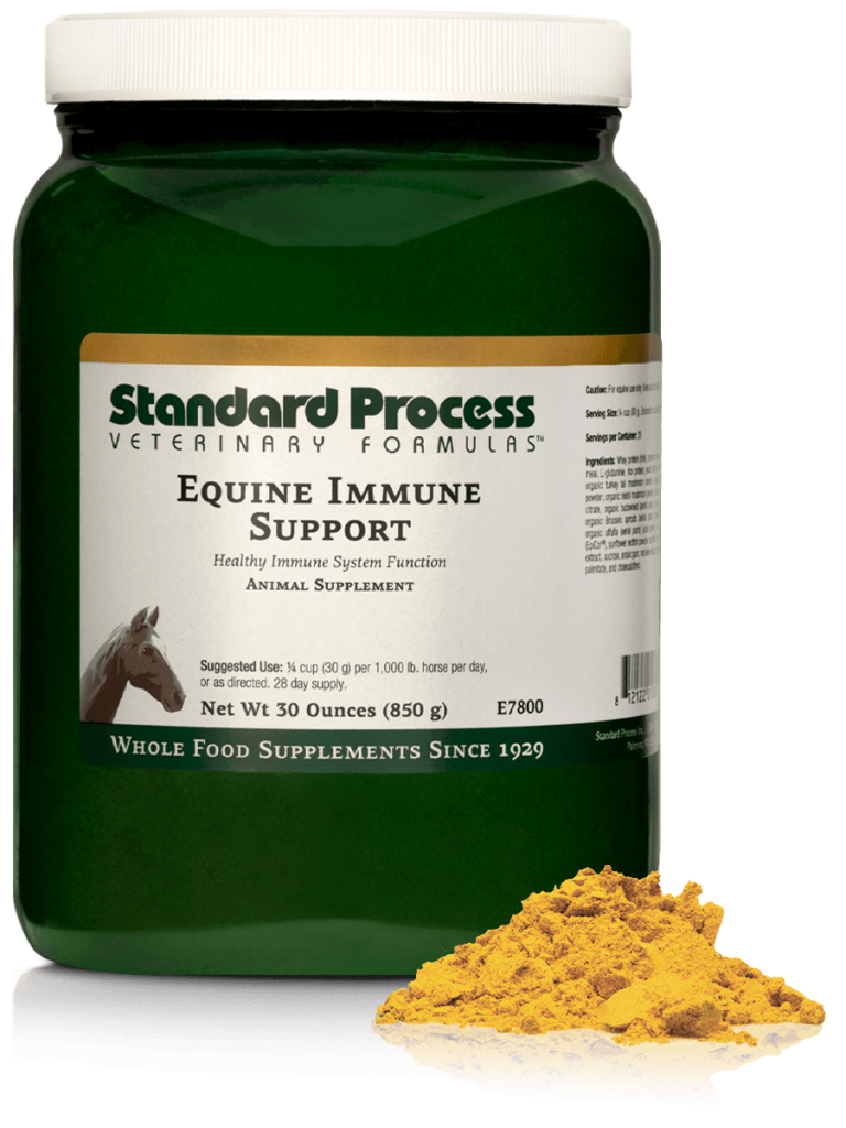 Equine Immune Support