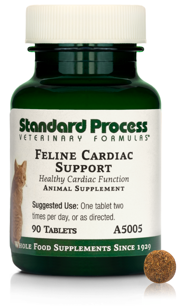 Feline Cardiac Support