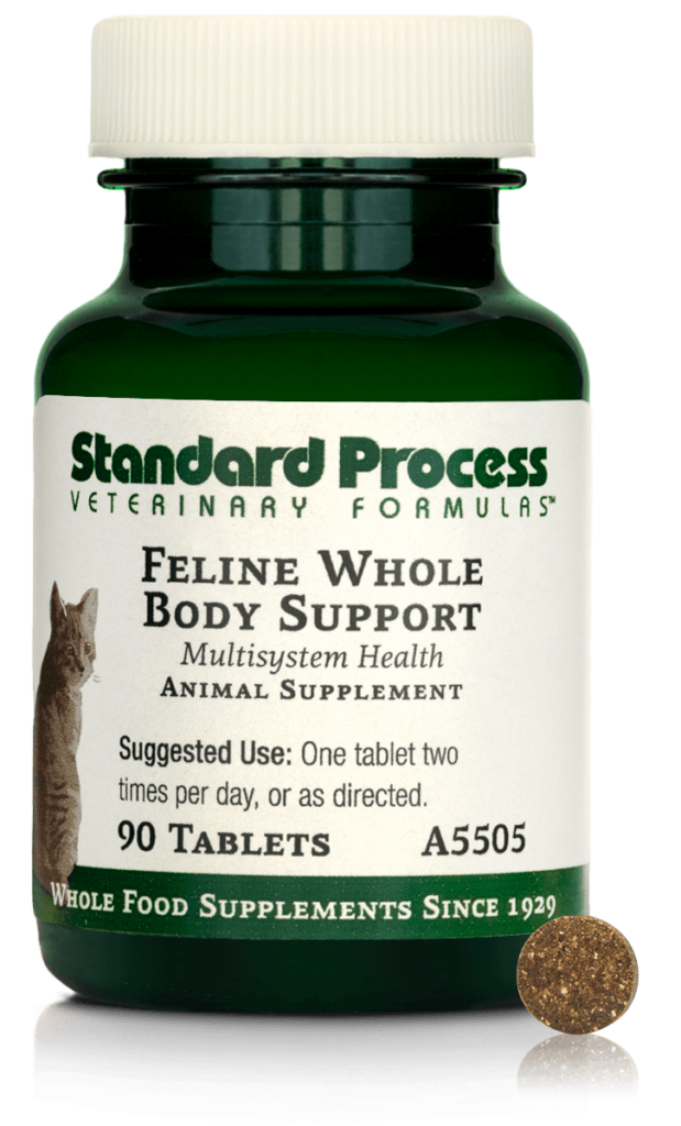 Feline Whole Body Support