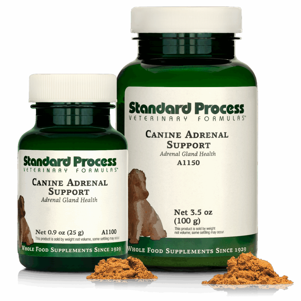 Canine Adrenal Support