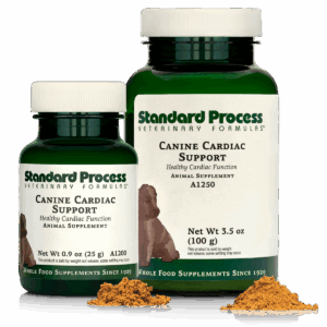 Canine Cardiac Support