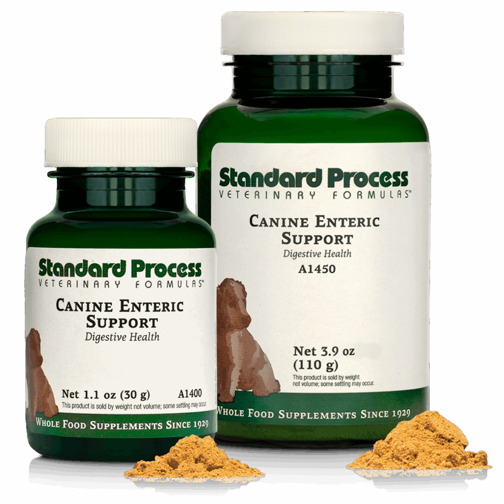 Canine Enteric Support