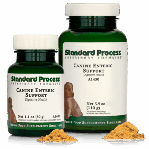 Canine Enteric Support