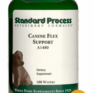 Canine Flex Support