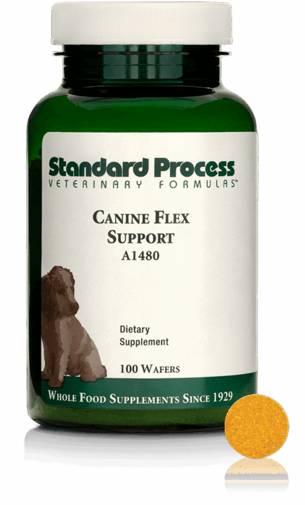 Canine Flex Support