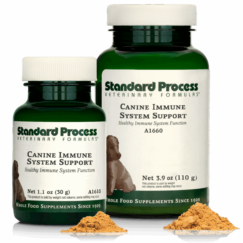 Canine Immune System Support