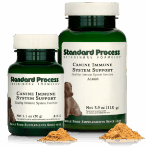 Canine Immune System Support