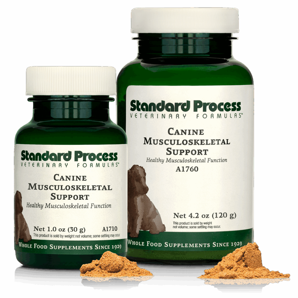 Canine Musculoskeletal Support