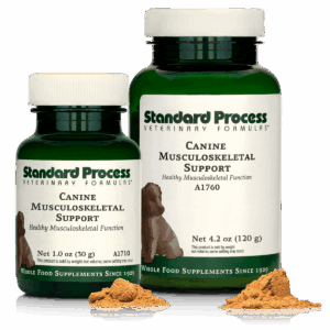 Canine Musculoskeletal Support