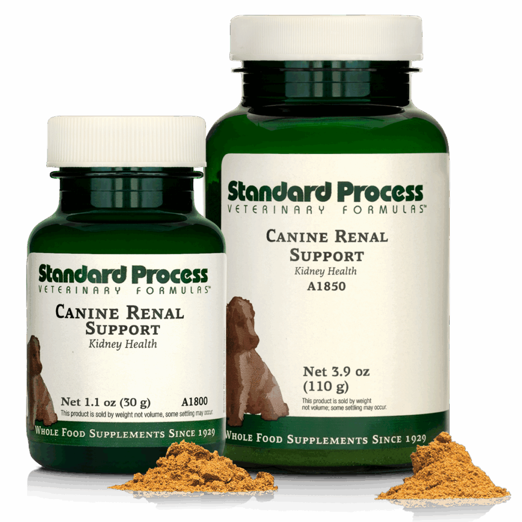 Canine Renal Support