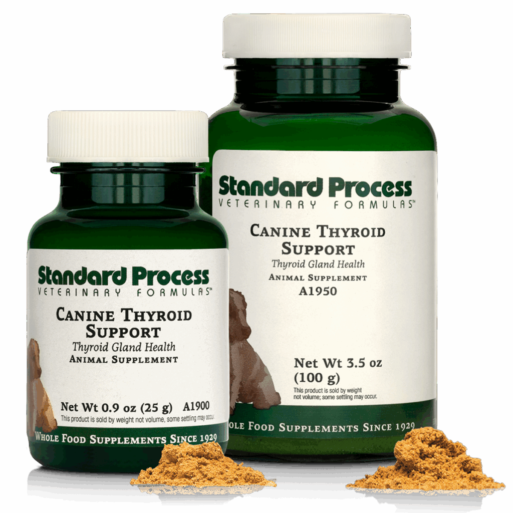Canine Thyroid Support