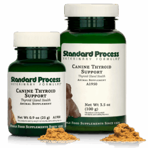 Canine Thyroid Support
