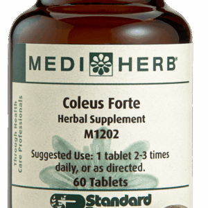 Coleus Forte