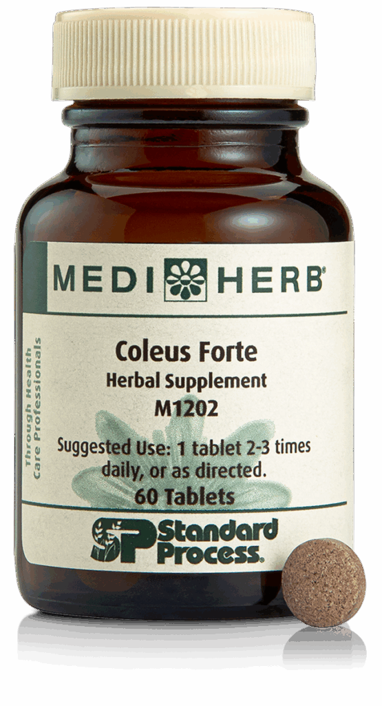 Coleus Forte