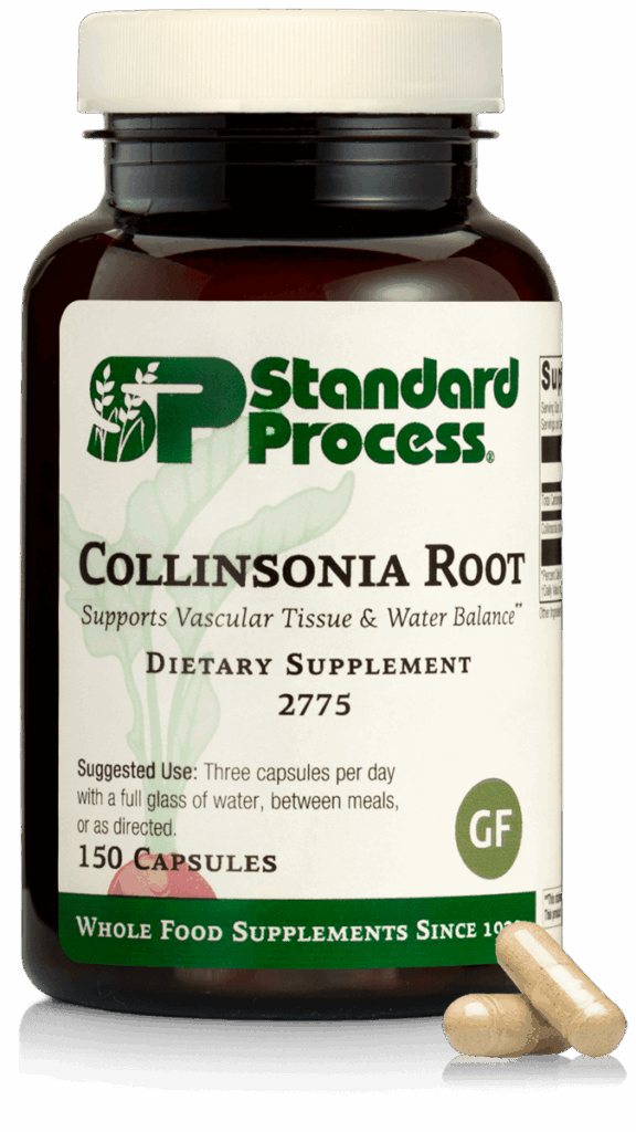 Collinsonia Root