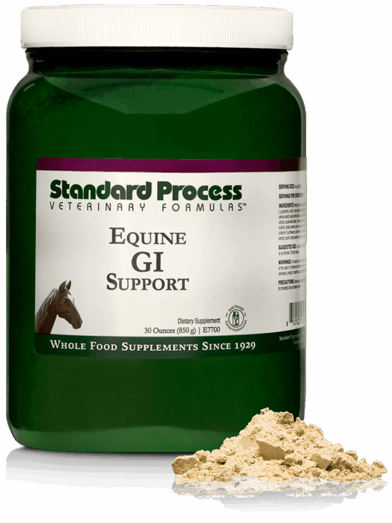 Equine GI Support