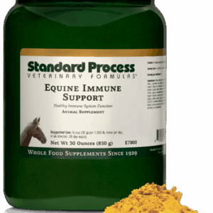 Equine Immune Support