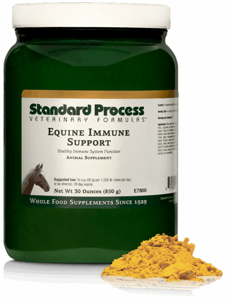 Equine Immune Support