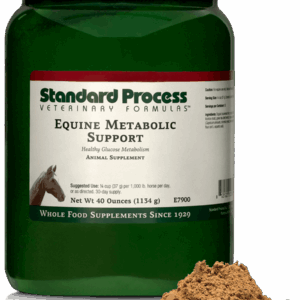 Equine Metabolic Support