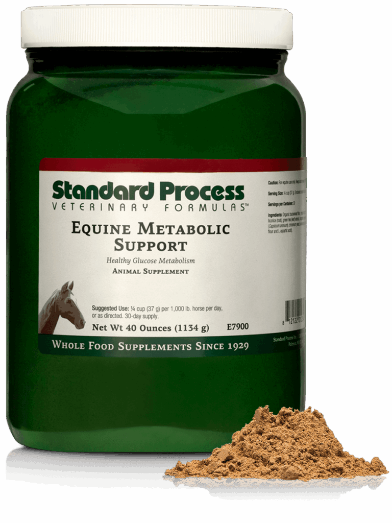 Equine Metabolic Support