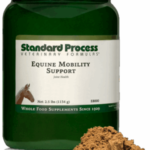 Equine Mobility Support