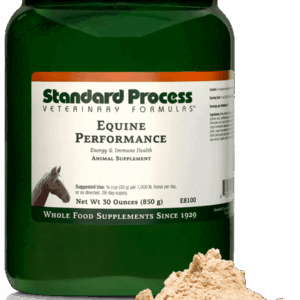 Equine Performance