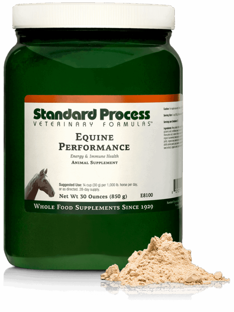 Equine Performance