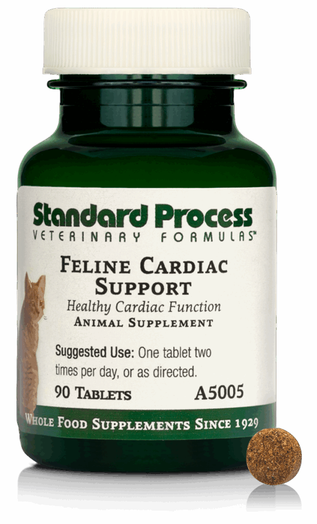 Feline Cardiac Support