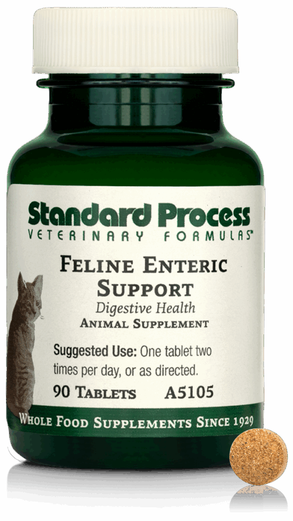 Feline Enteric Support