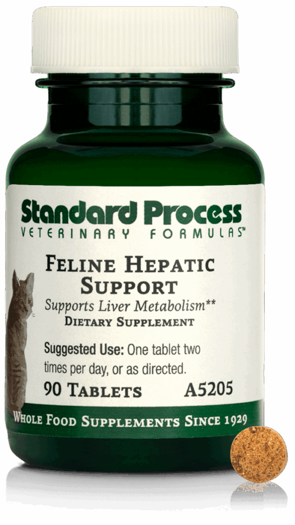 Feline Hepatic Support