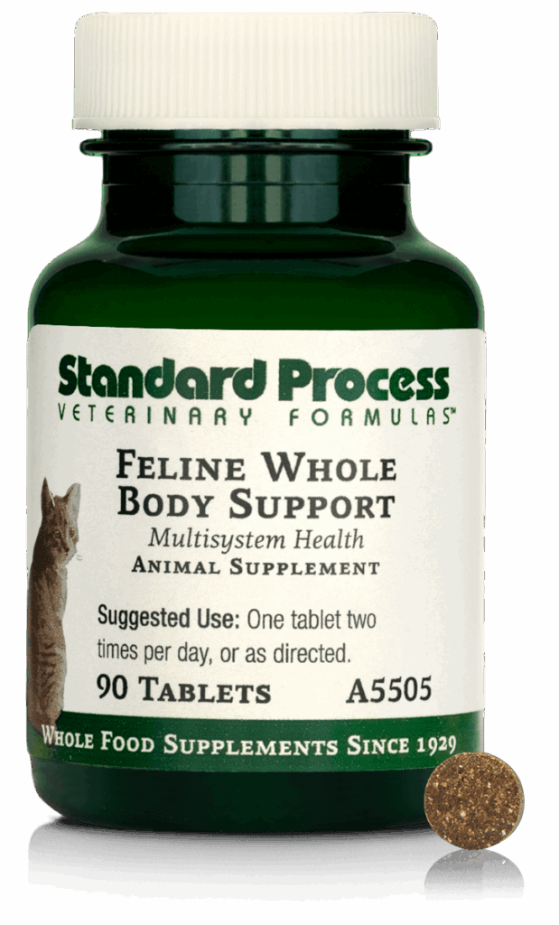 Feline Whole Body Support